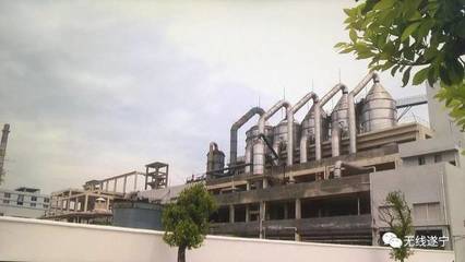 鹽中精華，卓筒晶品 品牌商標申請的戰略之路